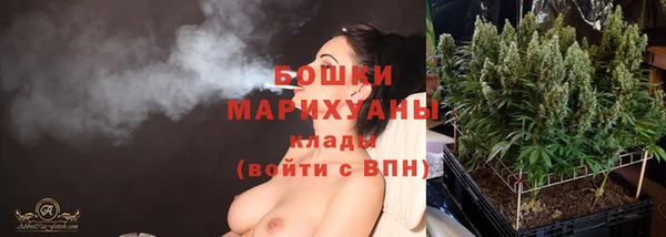 ГАЛЛЮЦИНОГЕННЫЕ ГРИБЫ Новодвинск