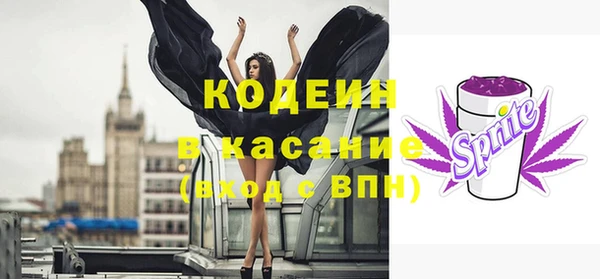 прущие грибы Новозыбков