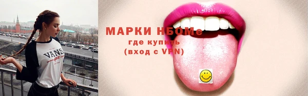 прущие грибы Новозыбков