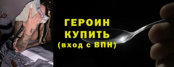 прущие грибы Новозыбков