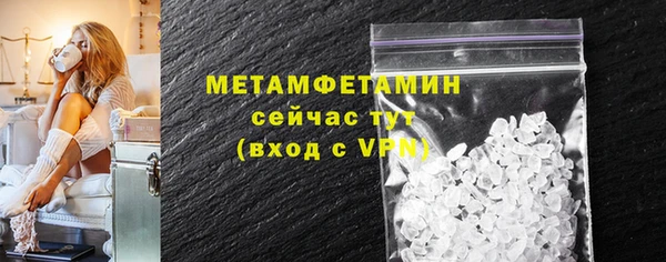 прущие грибы Новозыбков