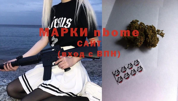 хмурый Няндома