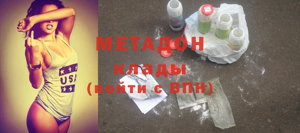 прущие грибы Новозыбков