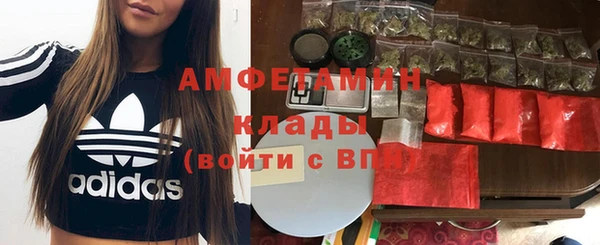 хмурый Няндома