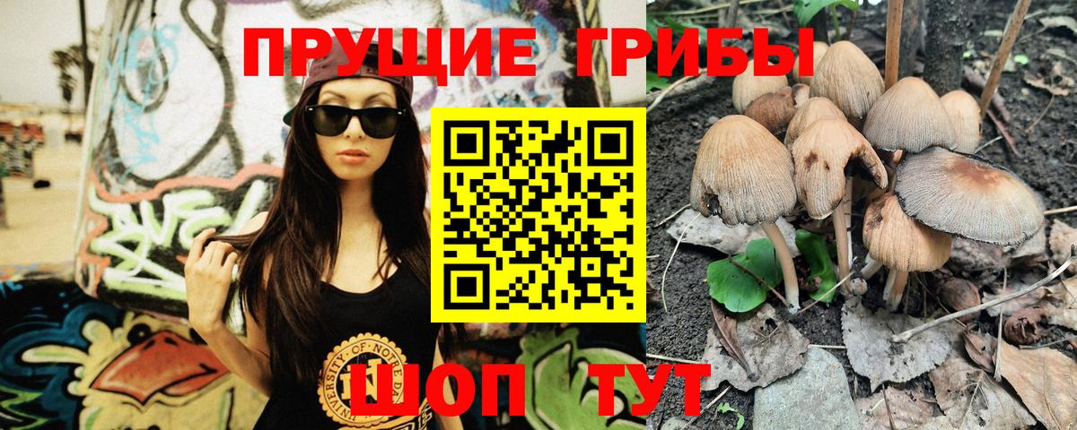 Галлюциногенные грибы мицелий  Вход с VPN  Искитим 
