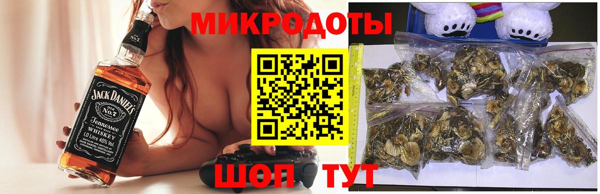 Псилоцибиновые грибы Psilocybine cubensis  Псилоцибиновые грибы Psilocybine cubensis  Искитим 