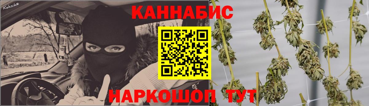 Конопля планчик  Бошки Шишки SATIVA & INDICA  Вход с VPN  Бошки Шишки THC 21%  Искитим 